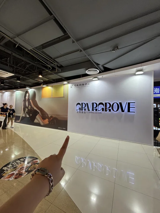 （昆明）不懂就问。。。顺城这家女装是什么水平？