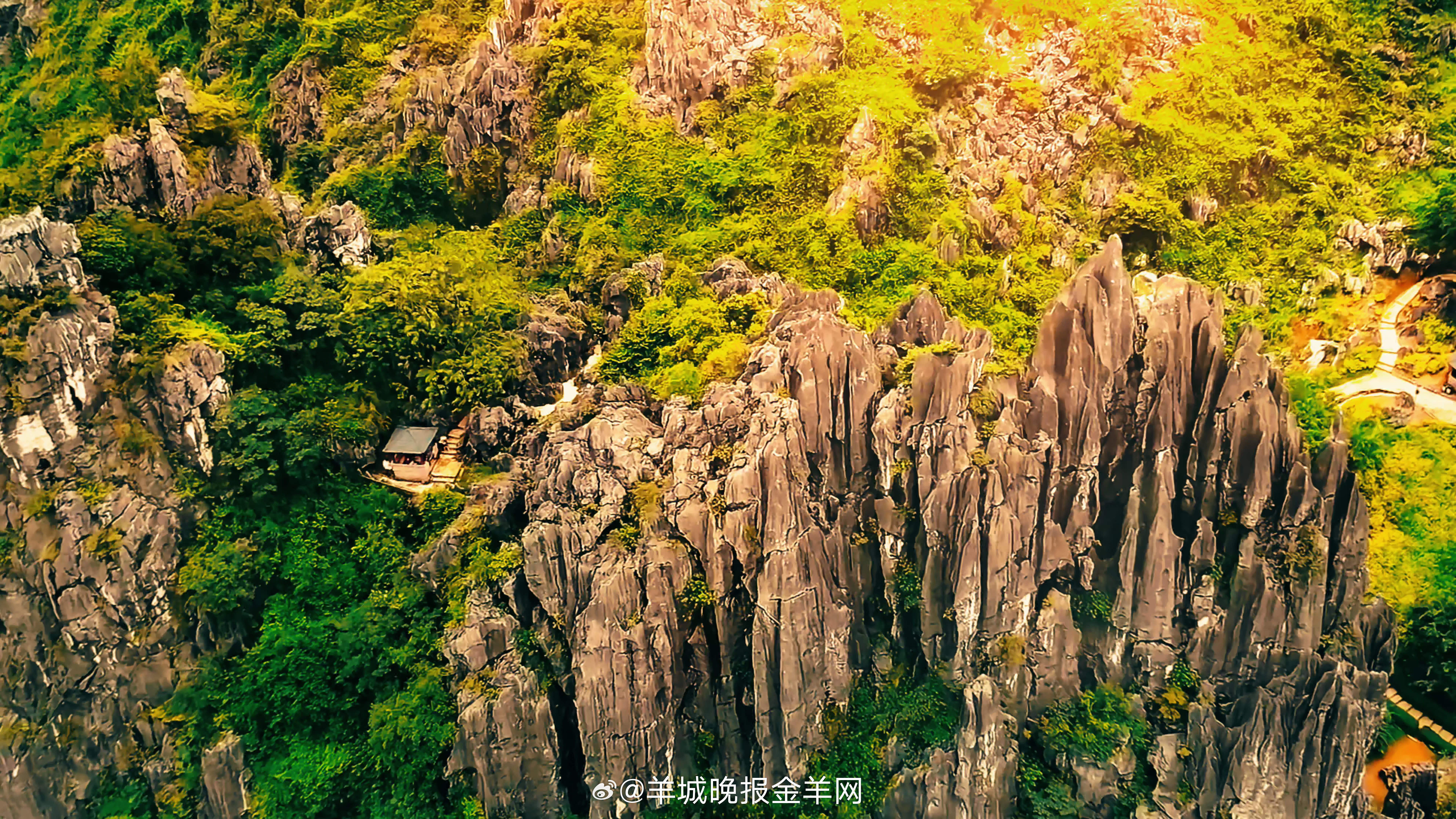 #早安# 每一个清晨，都是这个世界赠予你的崭新礼物，请拆开它，并笑纳。 