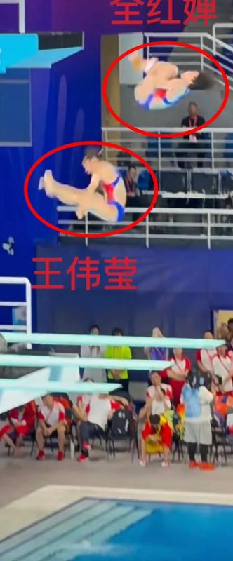 全红婵昨晚让我真正见识到了，顶级运动员和普通运动员之间的差距！
 
昨晚的202