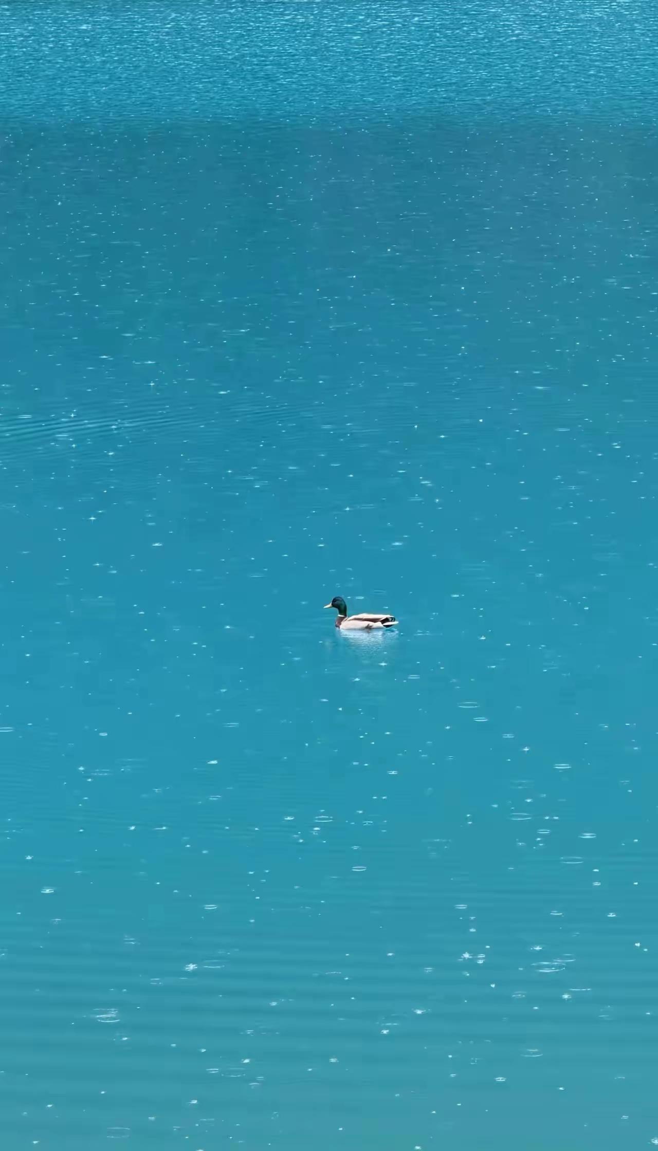 经济学家说:
“一旦发生战争，银行的存款大概就没有了。历史表明，一旦发生战争，金