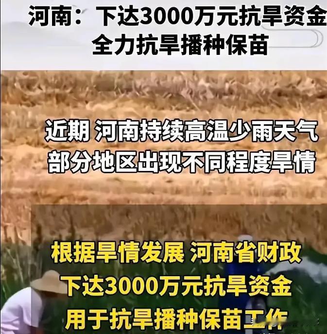 近日，河南连续多日高温，河南省财政特地下发了3000万元专项资金用于保苗抗旱，并