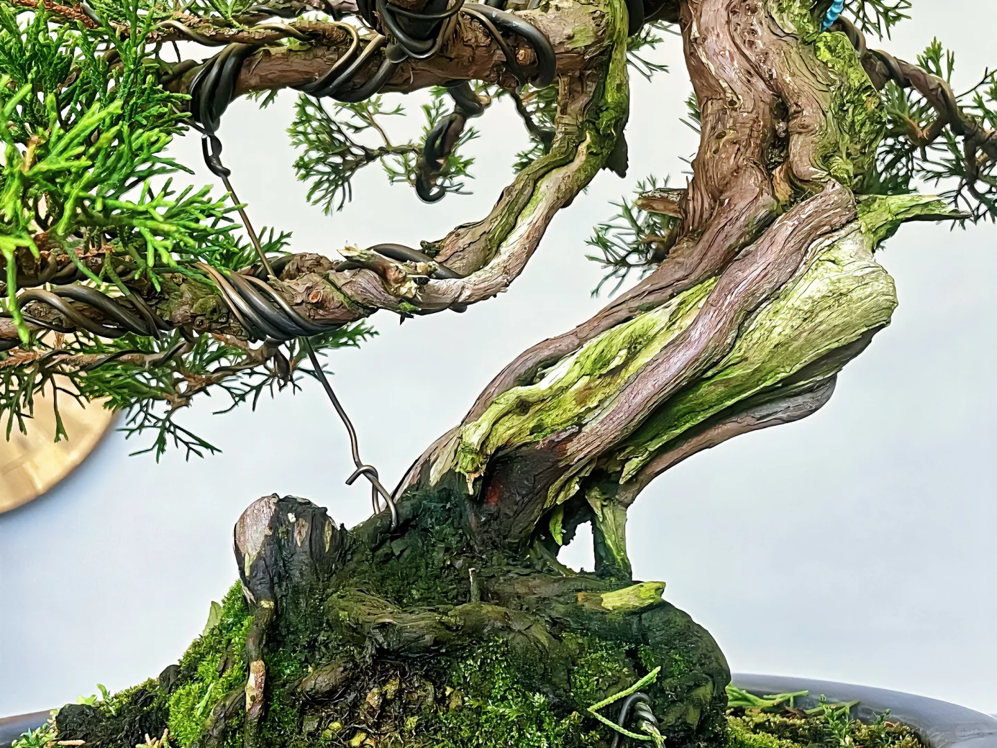 生命却又总是在软弱的同时展示出它的韧性。