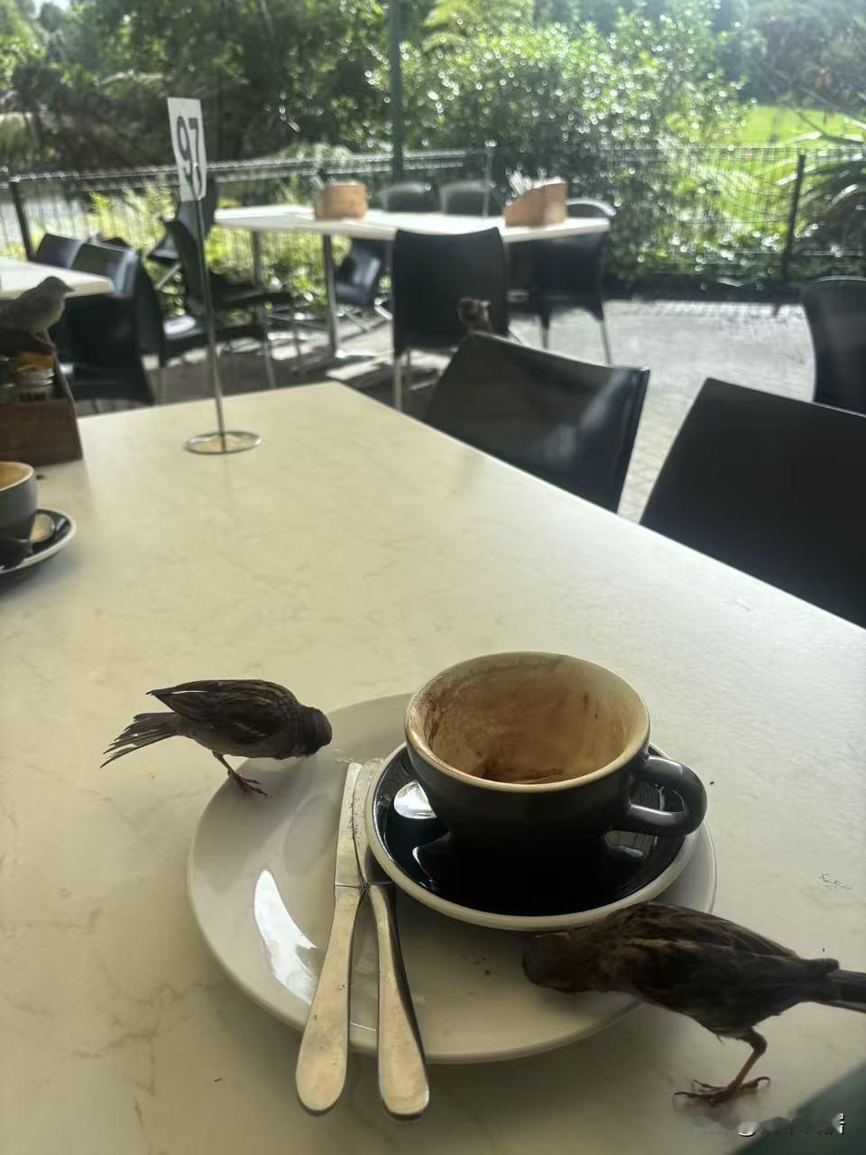 上联：春风赠我桃花酒，
下联：秋雨馈人五粮液。