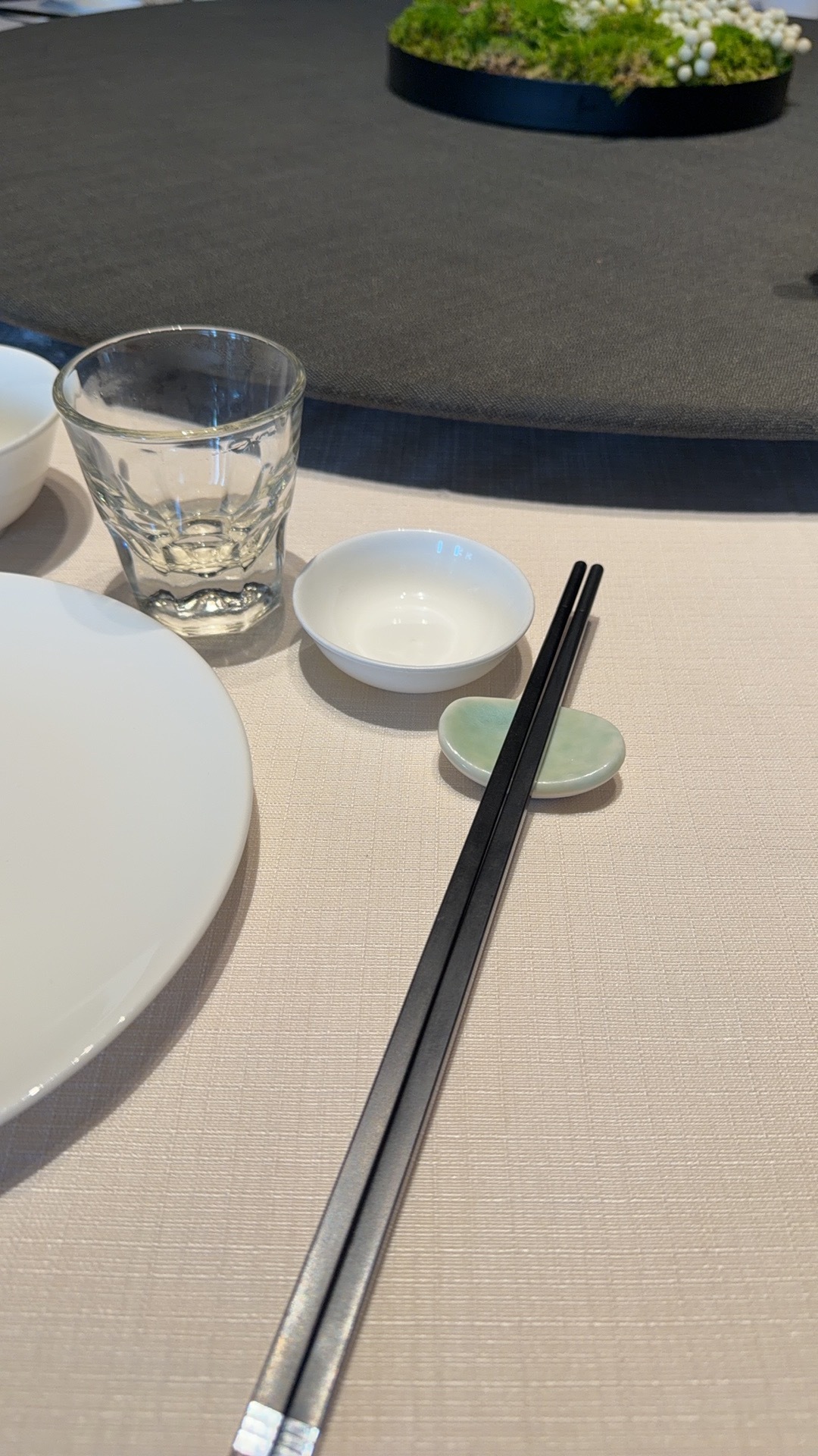 開吃開吃，好久沒來杭州家裡，沒想到這個月季沒人照顧還開的挺好 