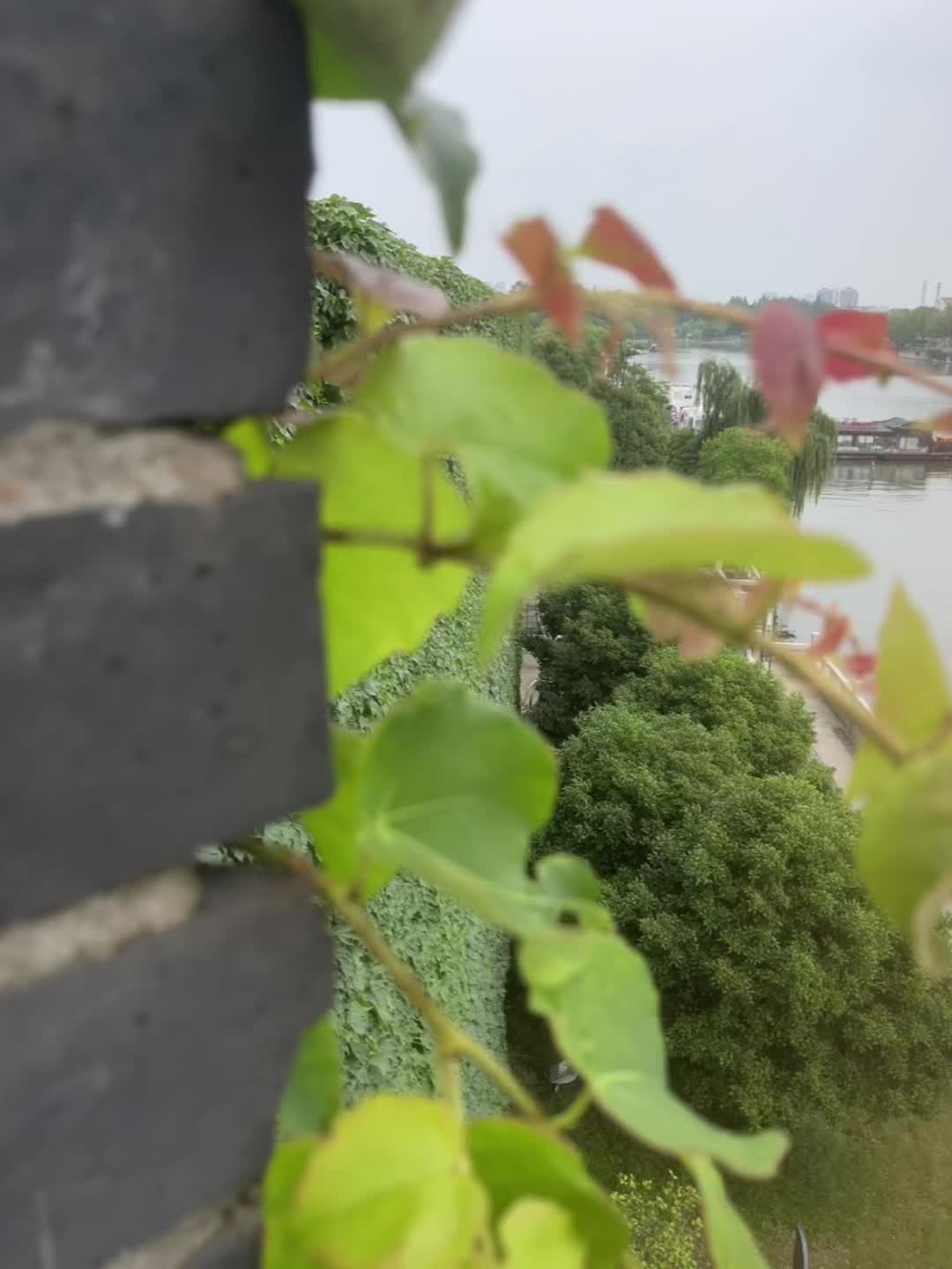 大彻大悟的人，一定是开窍了的，七窍玲珑通透了 什么人情世故、宇宙万物的...