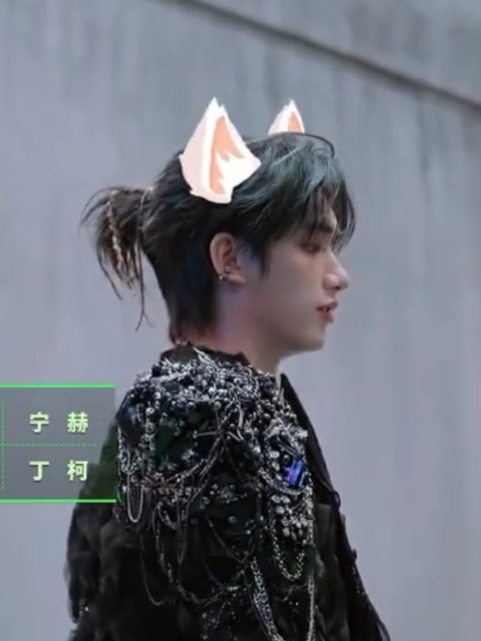小猪🐷 小猫🐱 小狗🐶 小狐狸🦊 