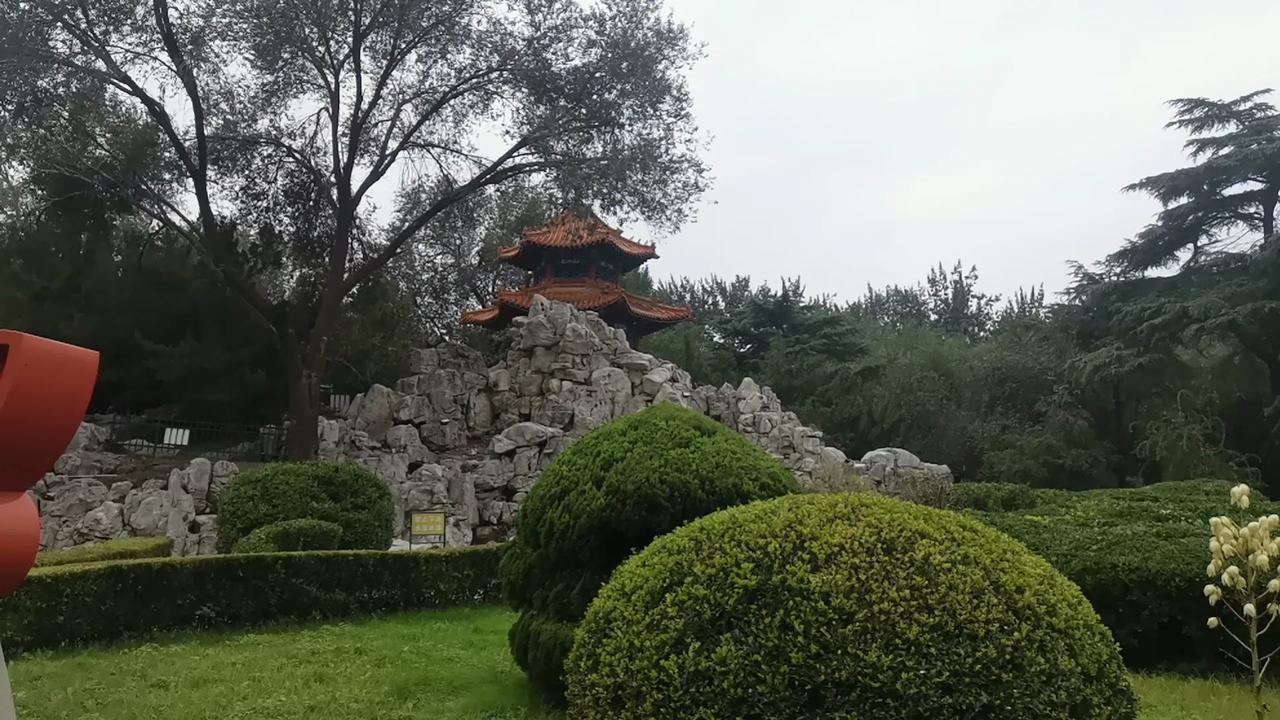 袁世凯，称帝前什么环境？历史也查不到。是不是，他飘了？