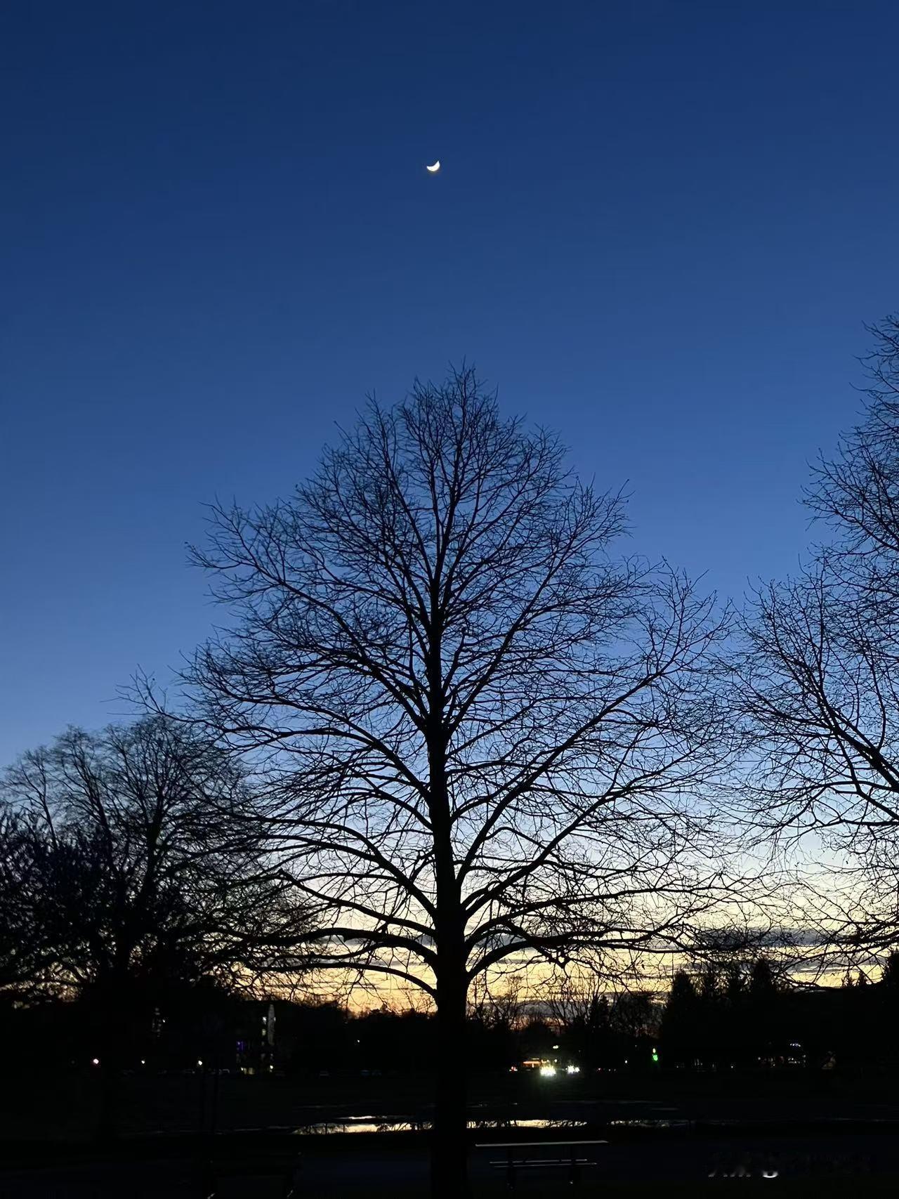 预习不等于提前学习

还有一个多月就要中考了。那些中考生妈妈们有些焦虑，有些妈妈
