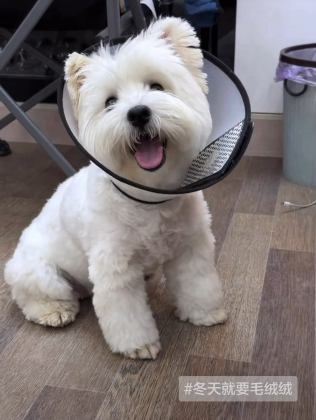 刘学义踏雪寻踪 ❄️刘学义简明 歪妹剪头发啦～！