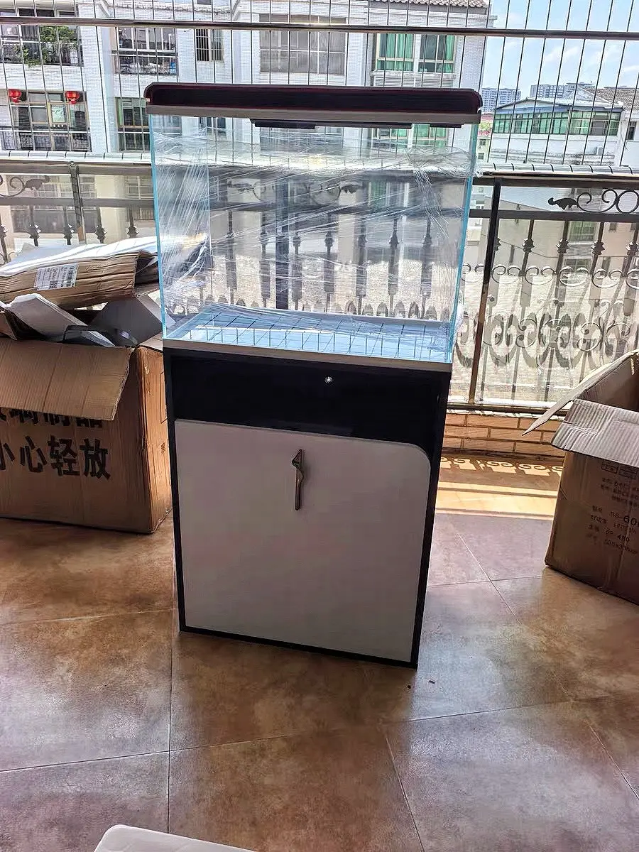 老实说你们养鱼到现在花费多少了？