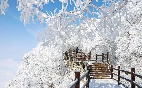 汉中龙头山雪景怎么拍才好看？别只拍白雪，掌握这些方法手机也能拍出冬日大片

很多