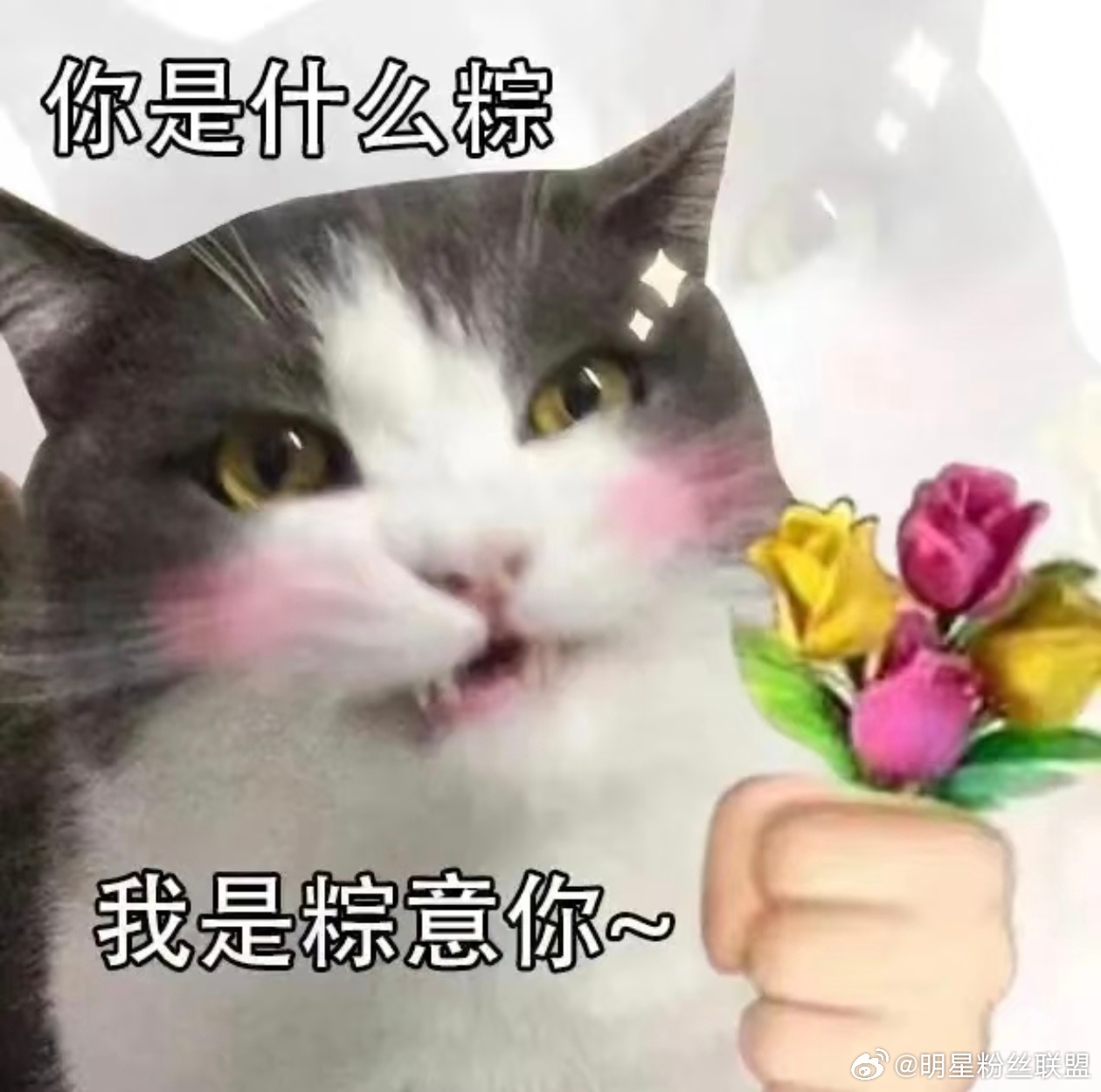 端午粽动员 端午假期已加载🐲限定活动惊喜来袭！玩法上新假期嗨出新花样，参与活动