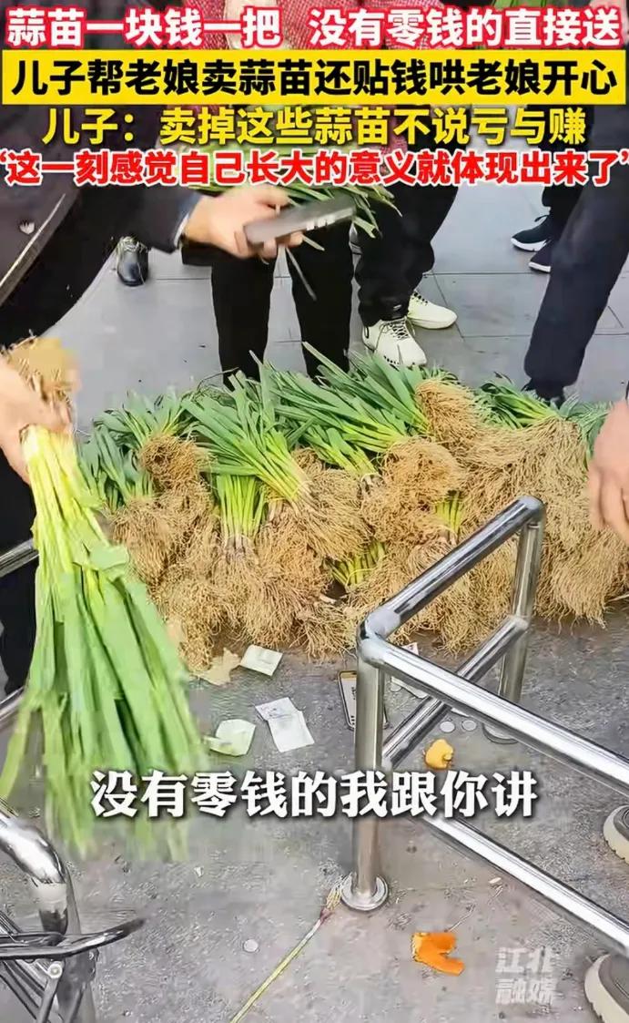 近日安徽蚌埠，65岁老人种的一亩多蒜苗丰收却滞销，整日愁眉不展，便让儿子崔先生帮