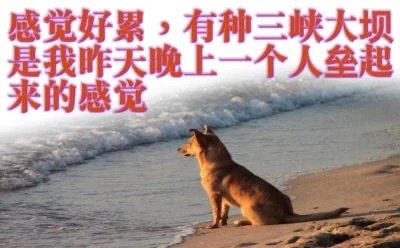 灵感像尿一样流走了 ​​​