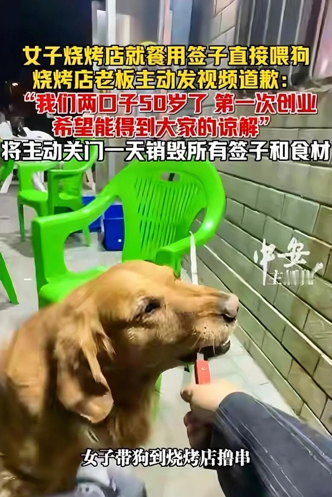 [月亮]以德报怨见格局！顾客烧烤店内用签喂狗，中年店主含泪停业整改，双向和解温暖