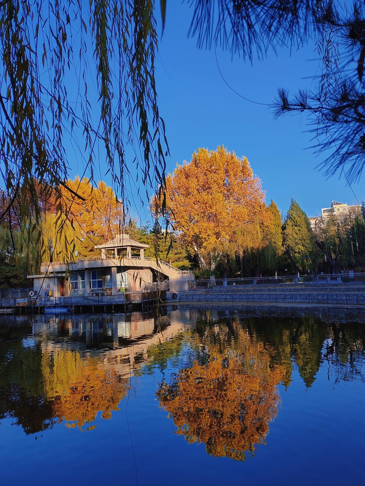 健康，快乐每一天！