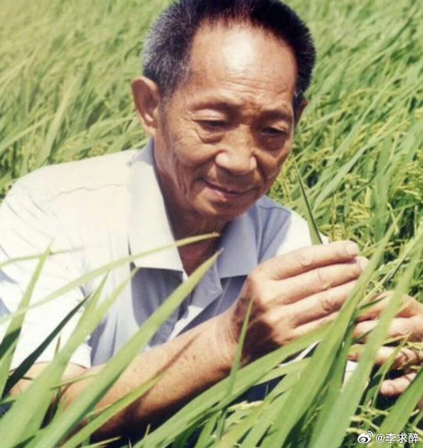 抖音通报网红诋毁袁隆平请您暂停一秒，为袁隆平爷爷送朵花袁公国士无双，隆平盛世稻香