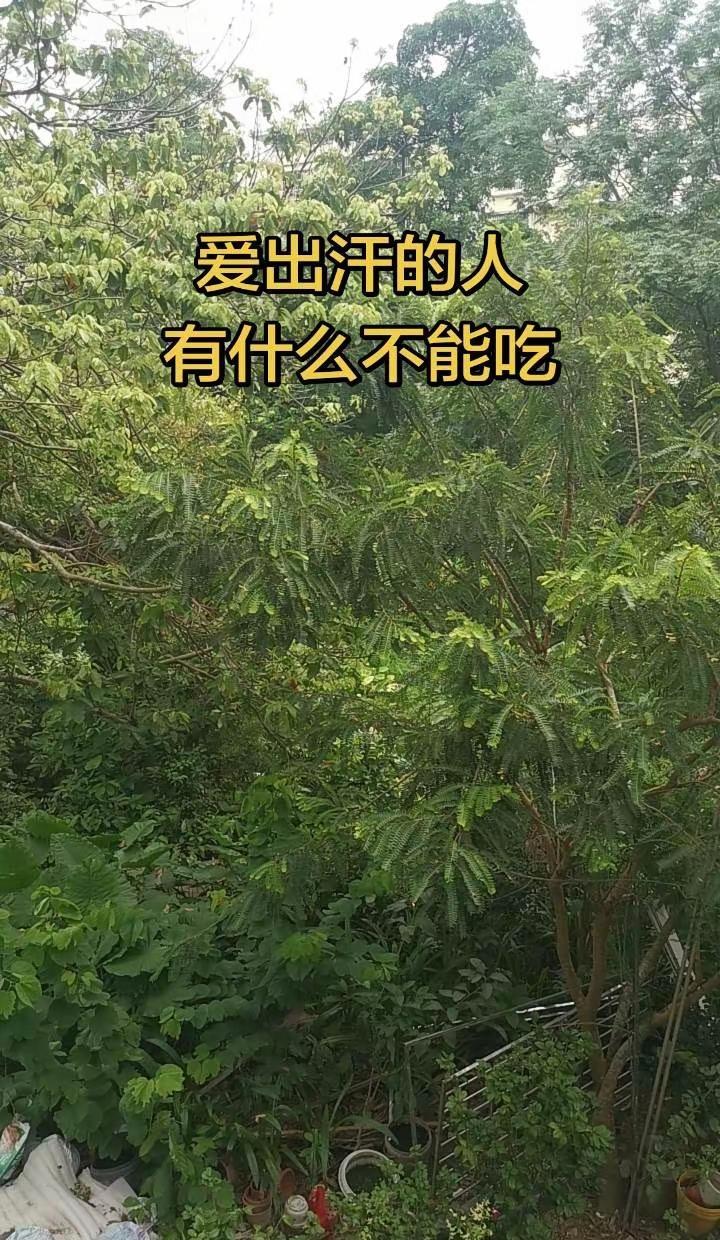 NBA西决G1马刺客场迎战雷霆!"武僧"文班亚马炸裂砍下41分24篮板，全方位压