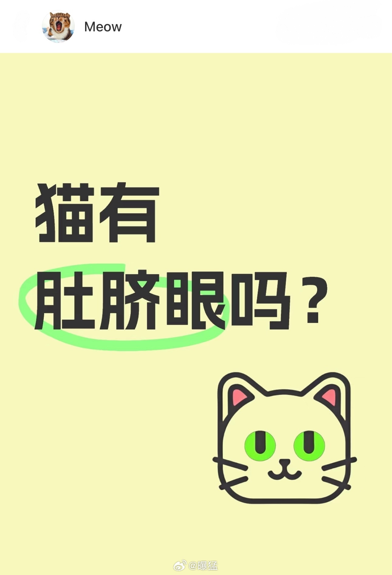原来这就是猫咪的肚脐眼……🐱原来这就是猫咪的肚脐眼丨金句爆梗挑战赛 ​​​