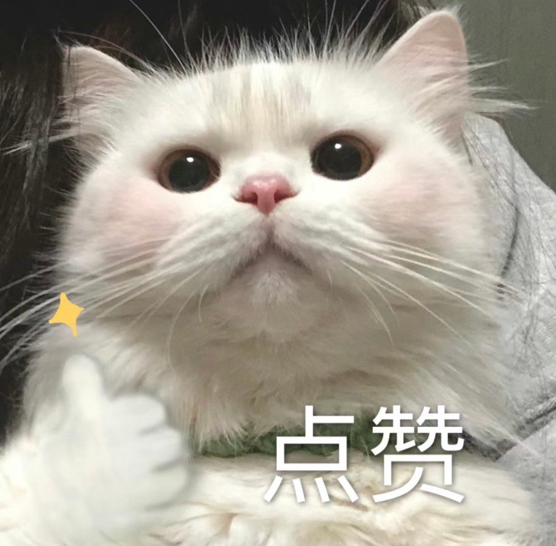 #95后小伙每天暴走3万步排查招聘套路#。他们的努力不仅是为了排查招聘套路，更是