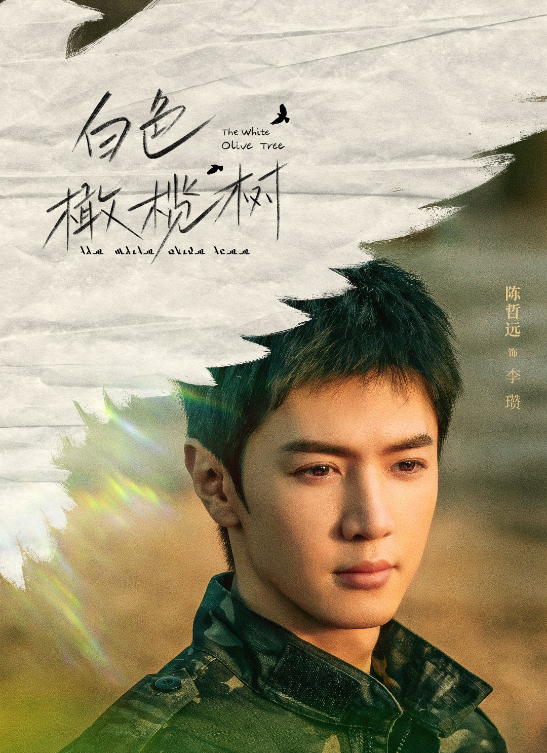 今日热映《白色橄榄树》陈哲远、梁洁领衔主演，王天辰、古子成、郑英辰、刘泳希、汪卓