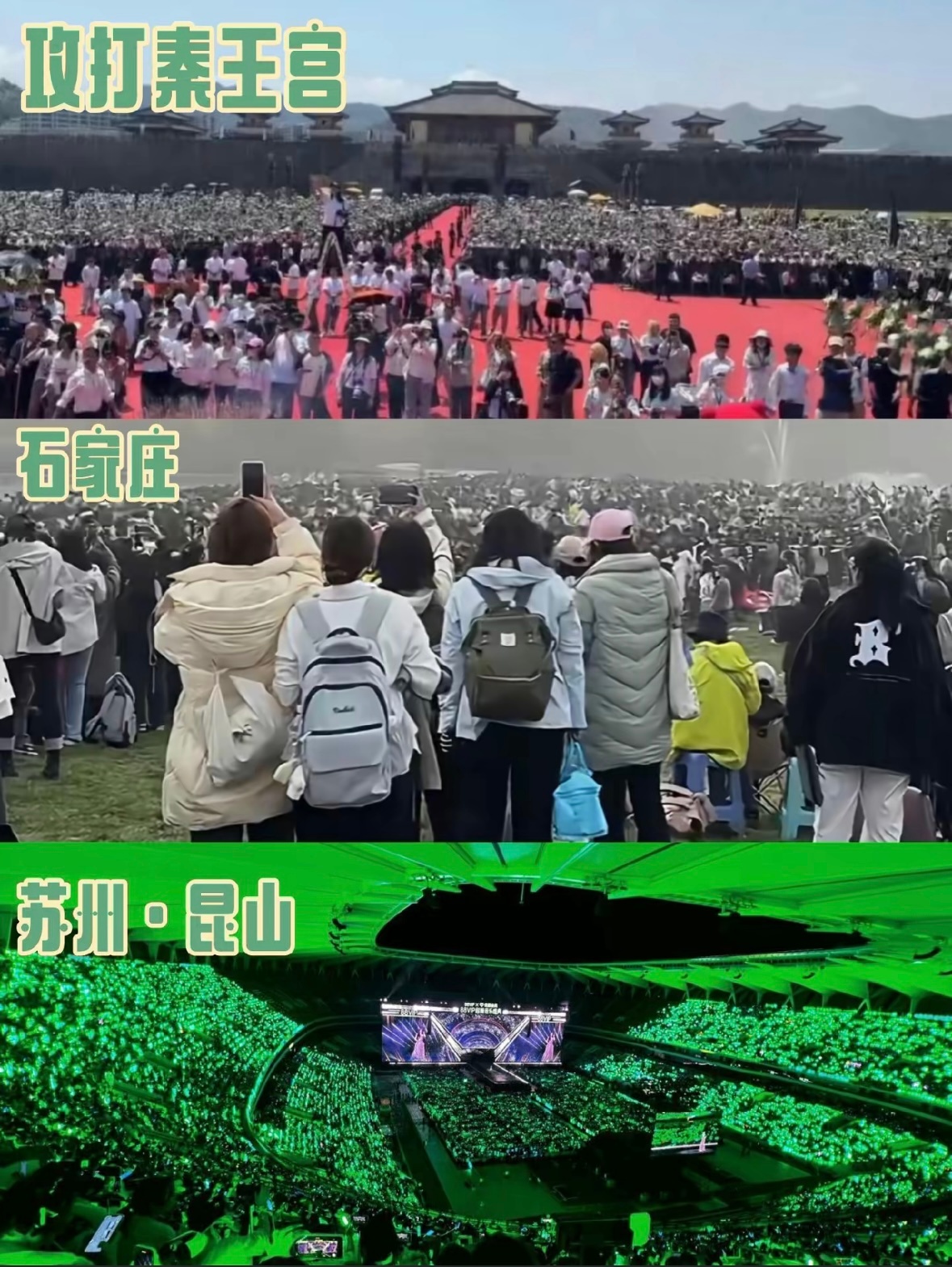 飞飞有幸这三场盛大的奔赴我都在