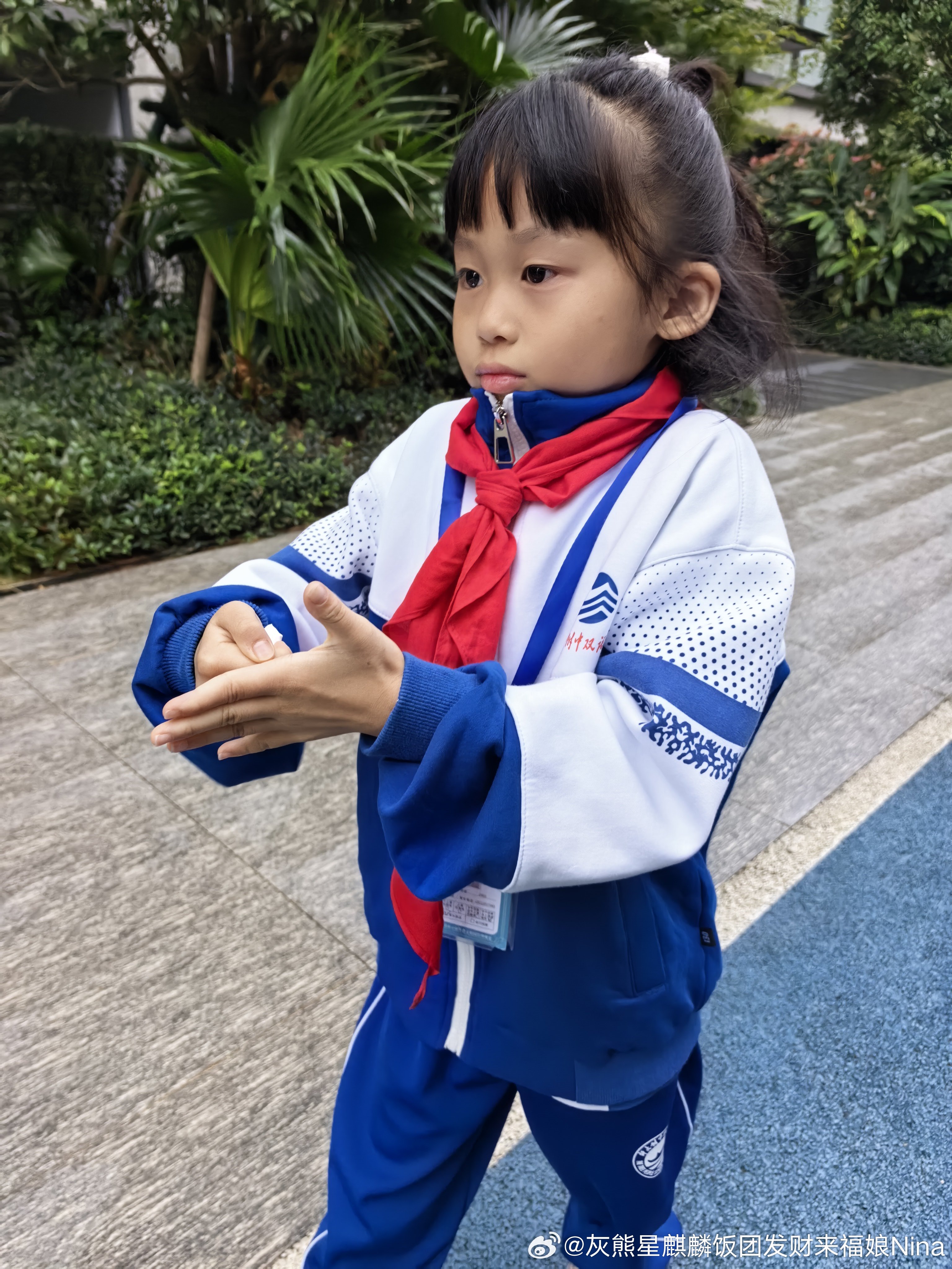 团子学校今天运动会开幕式[耶]天气冷咯 缩缩手妮娜一家[超话]饭团团日常 ​​​