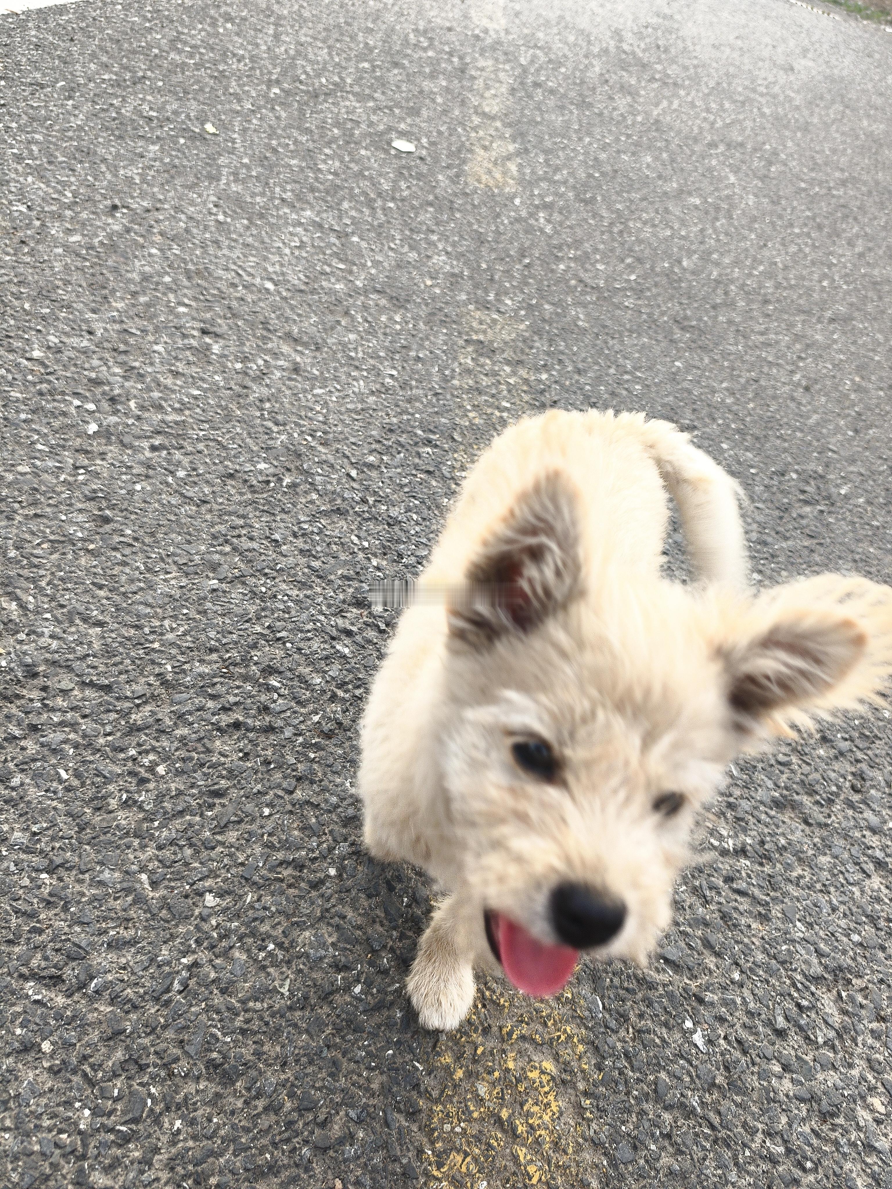 甜狗🐶 ​​​