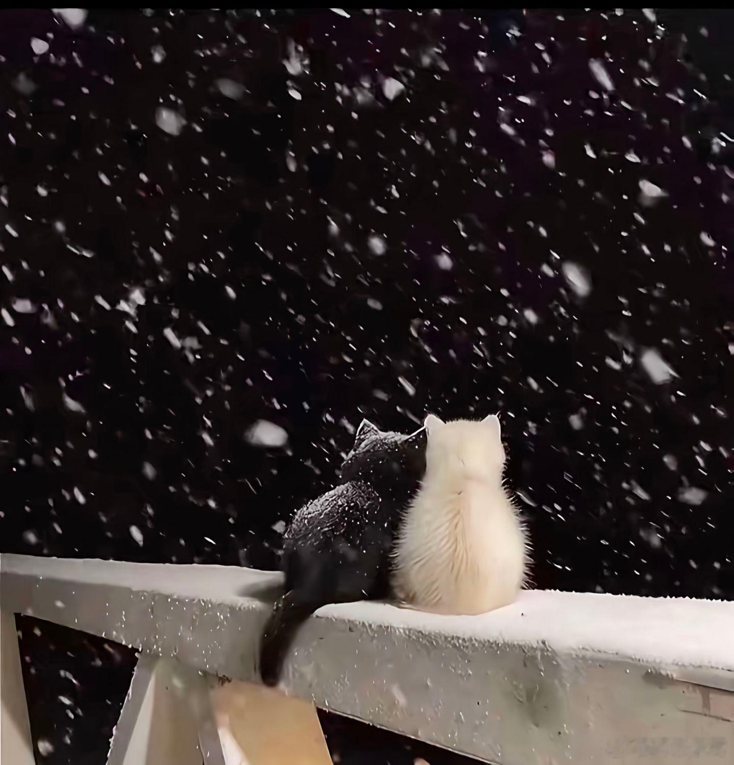 那你呢 这个冬天最想要什么 