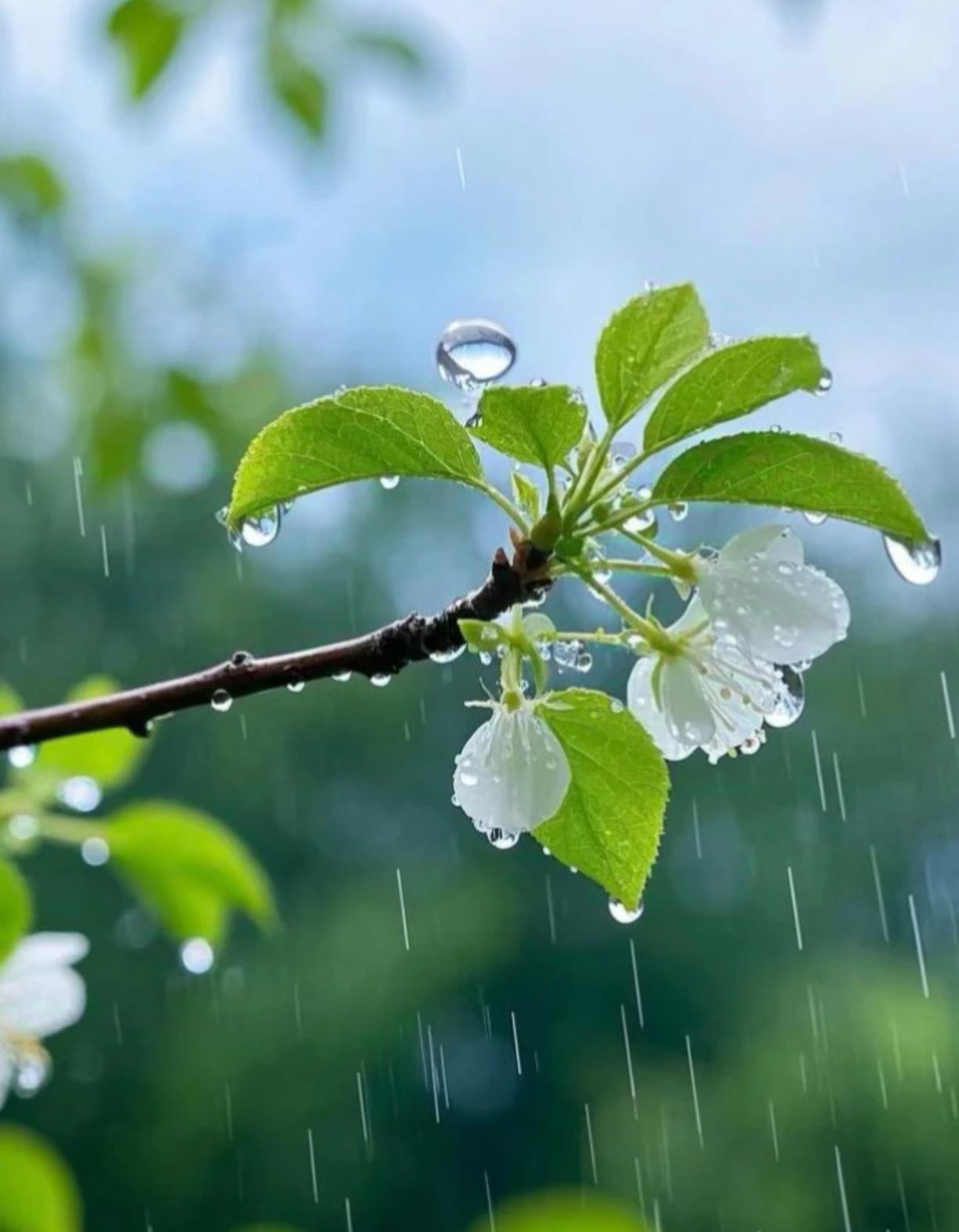 万事开头难，有时候娶媳妇儿也是一样，找媳妇的时候特别难，日子过起来也就顺当了。我