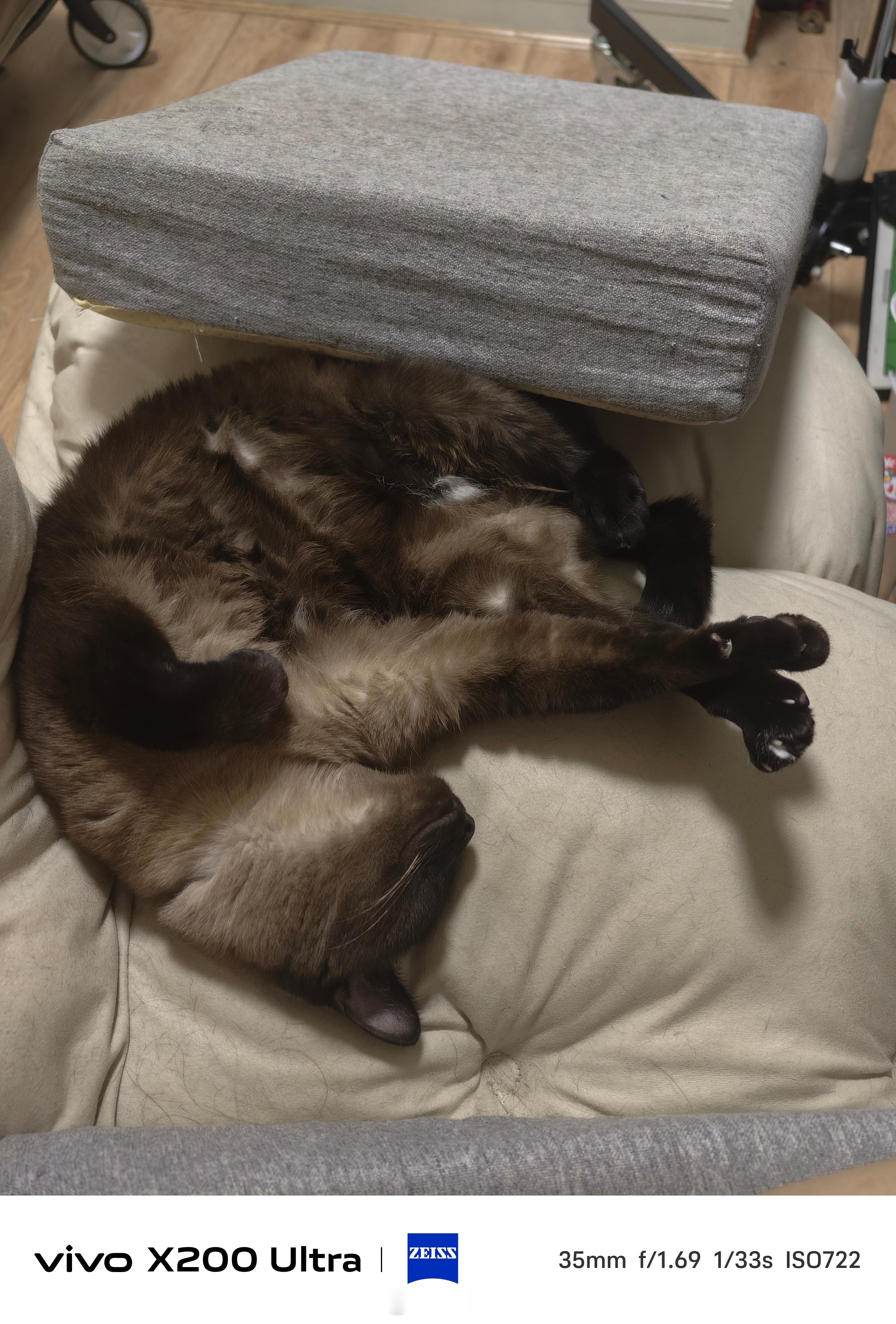 问下成都的友友们，天府新区好的猫狗宠物医院和异宠宠物医院有哪些啊？马哥要跟我常居