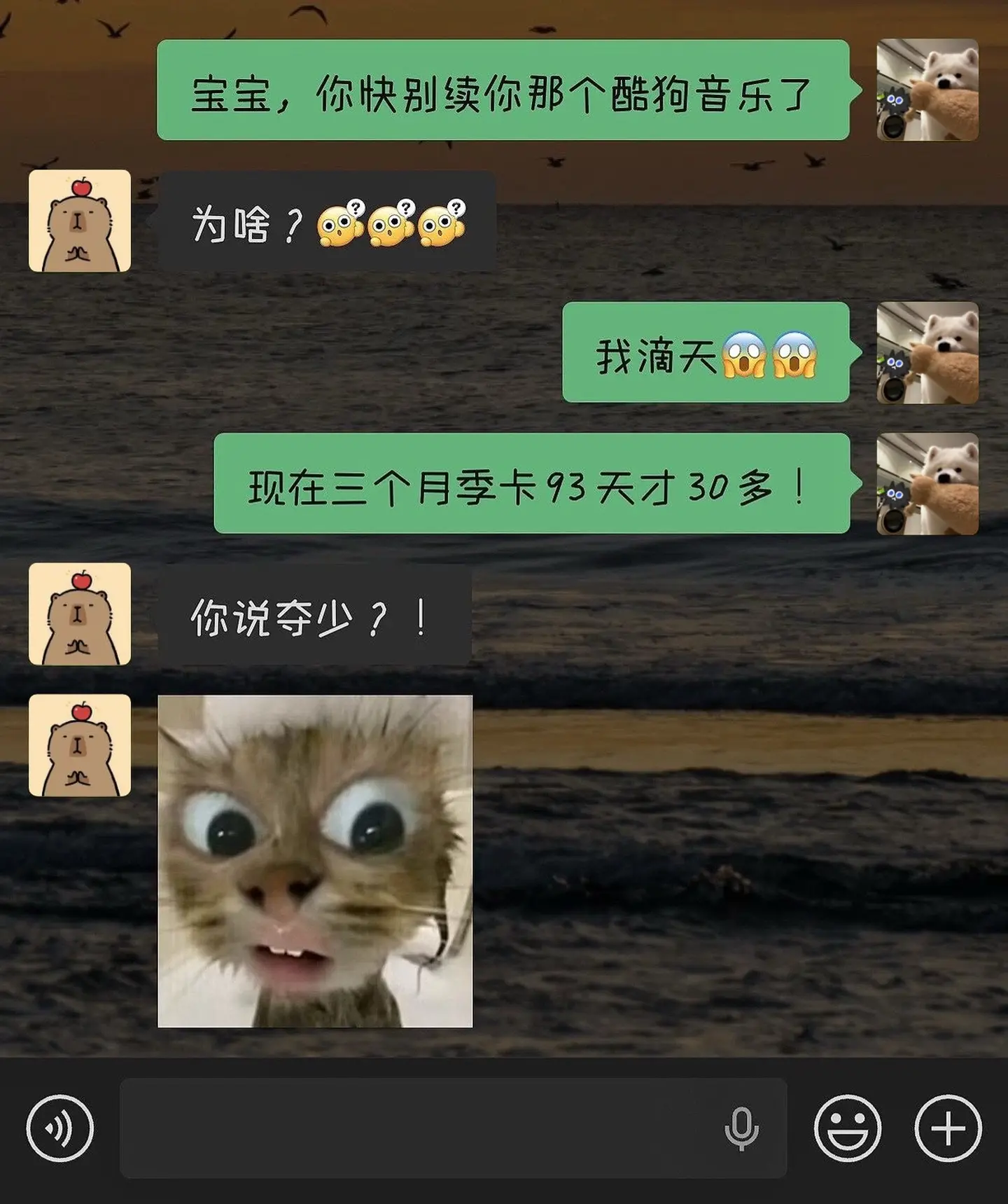 不是？！酷狗音乐你别闹了，这个价还是赔我点吧…