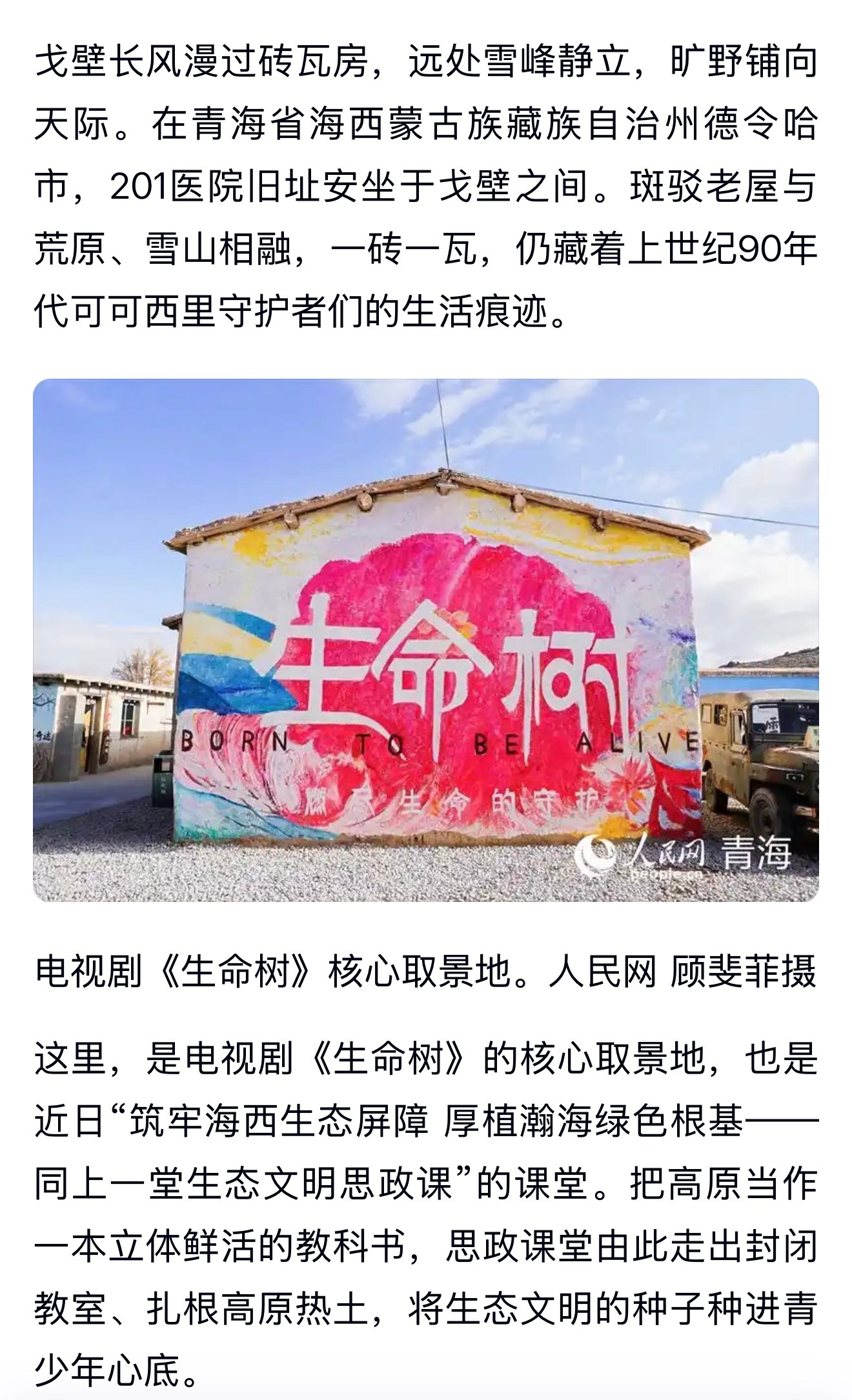 杨紫🌳《生命树》的取景地成了行走的生态文明思政课堂。生命史诗的影响力还在不断扩