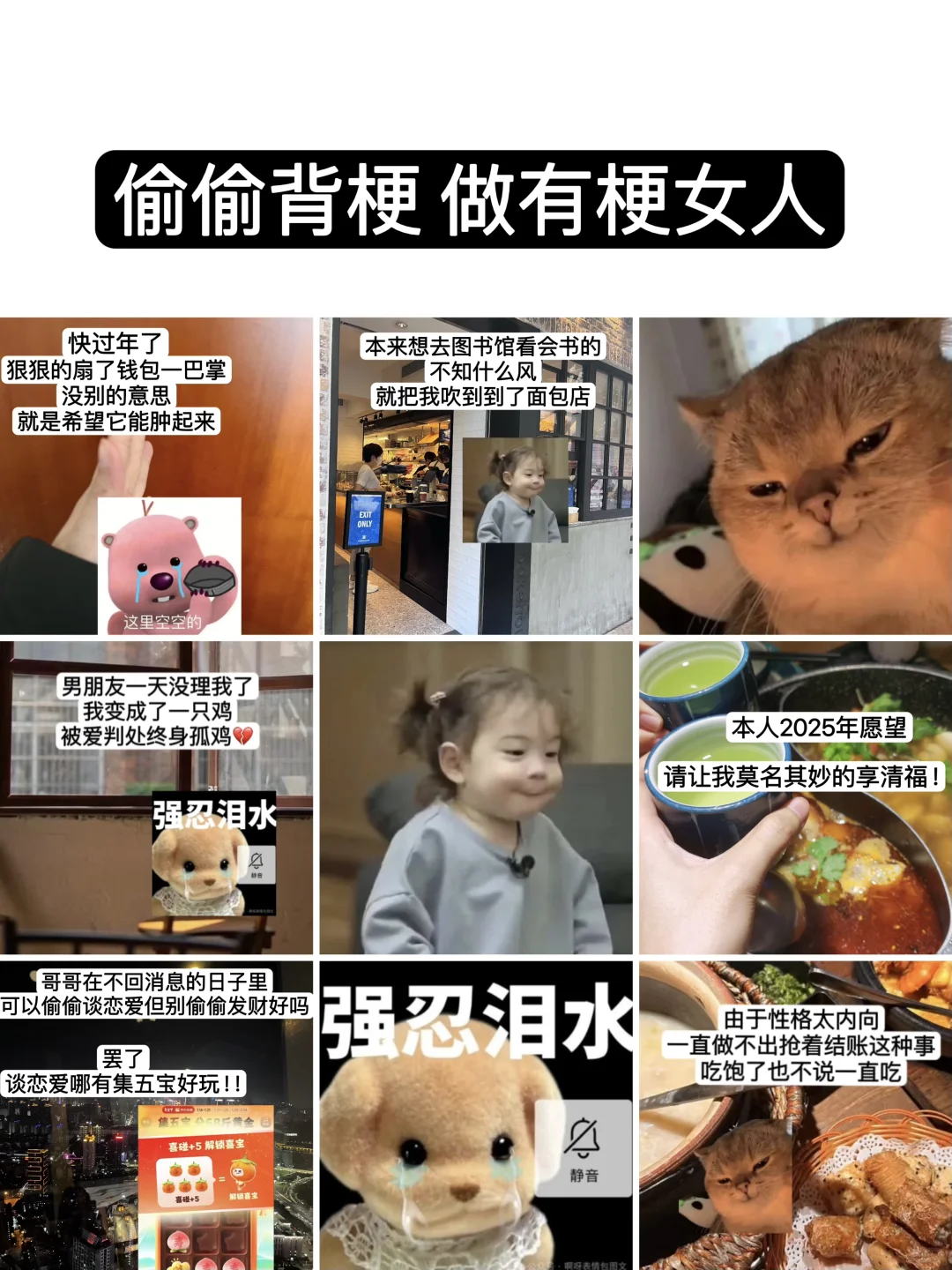 《我的背梗日记...》