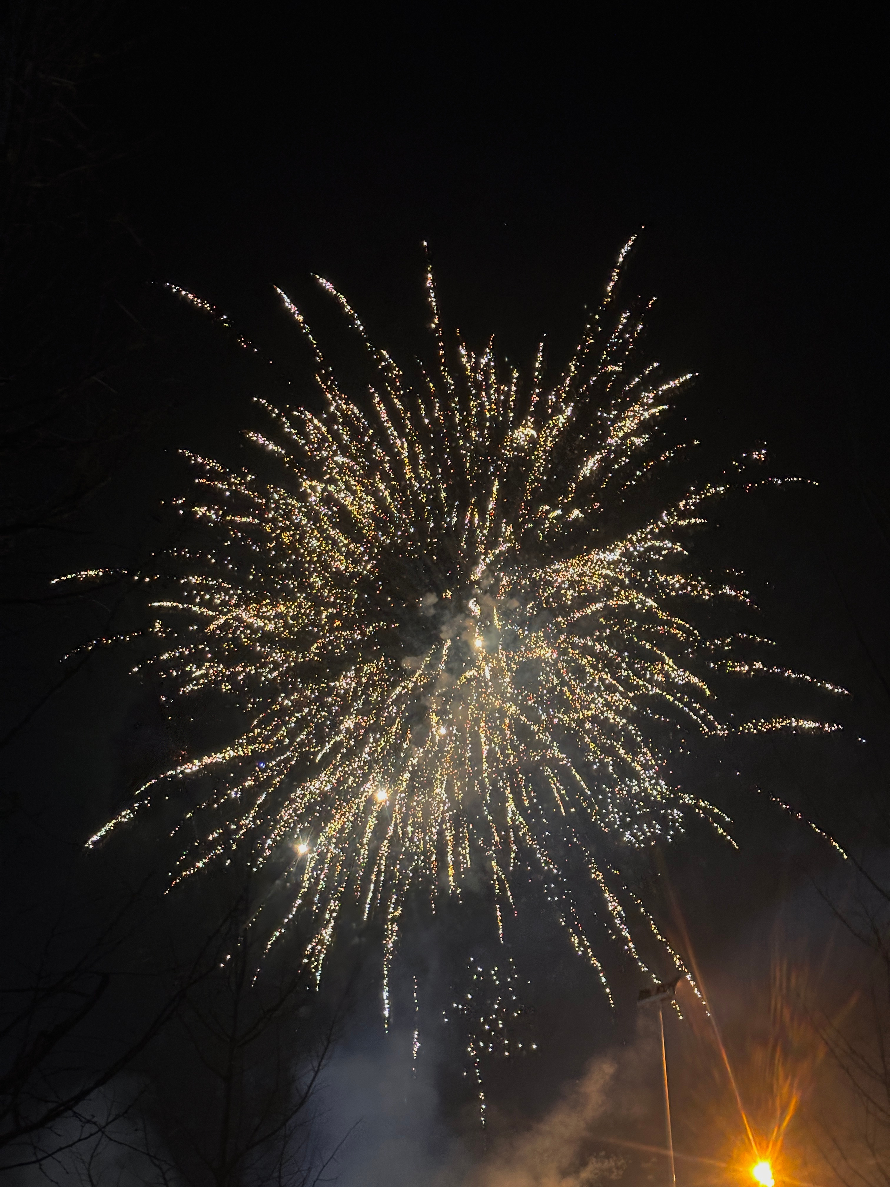 新年快乐！ 