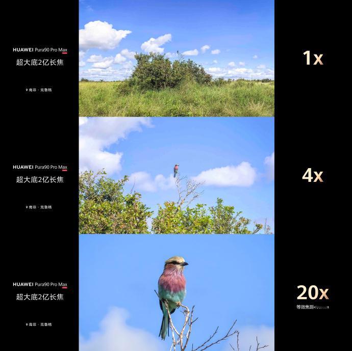 余承东称Pura90是拍鸟神器这次Pura 90搭载了2亿像素长焦，还搭配了超大