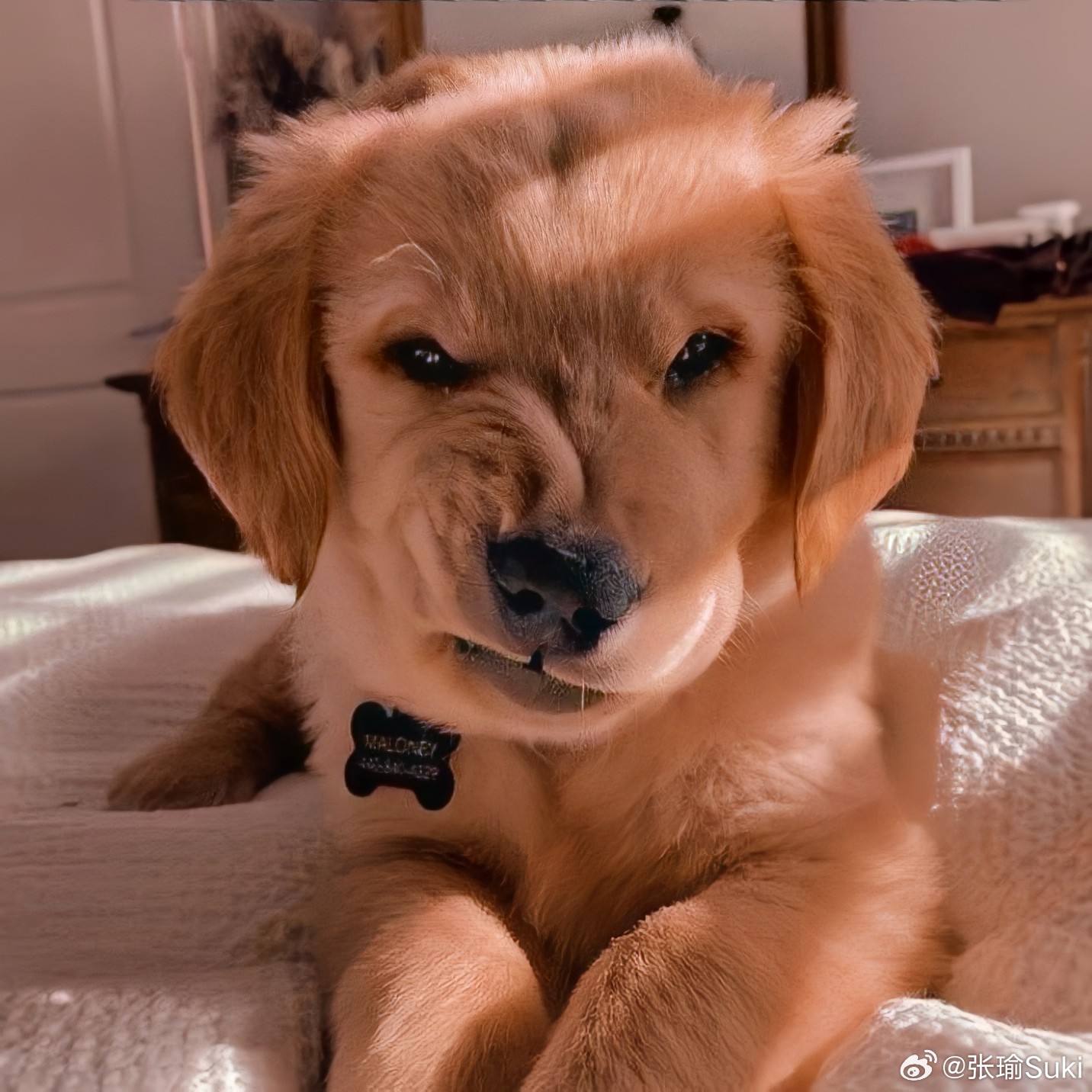 美伊形势三大终极问题：到底停不停战？到底让不让通过？到底涨不涨价？  快周末了，