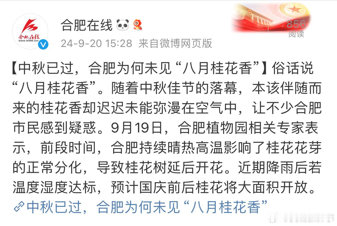 【#中秋过合肥为何未见八月桂花香#】俗话说“八月桂花香”。随着中秋佳节的落幕，本