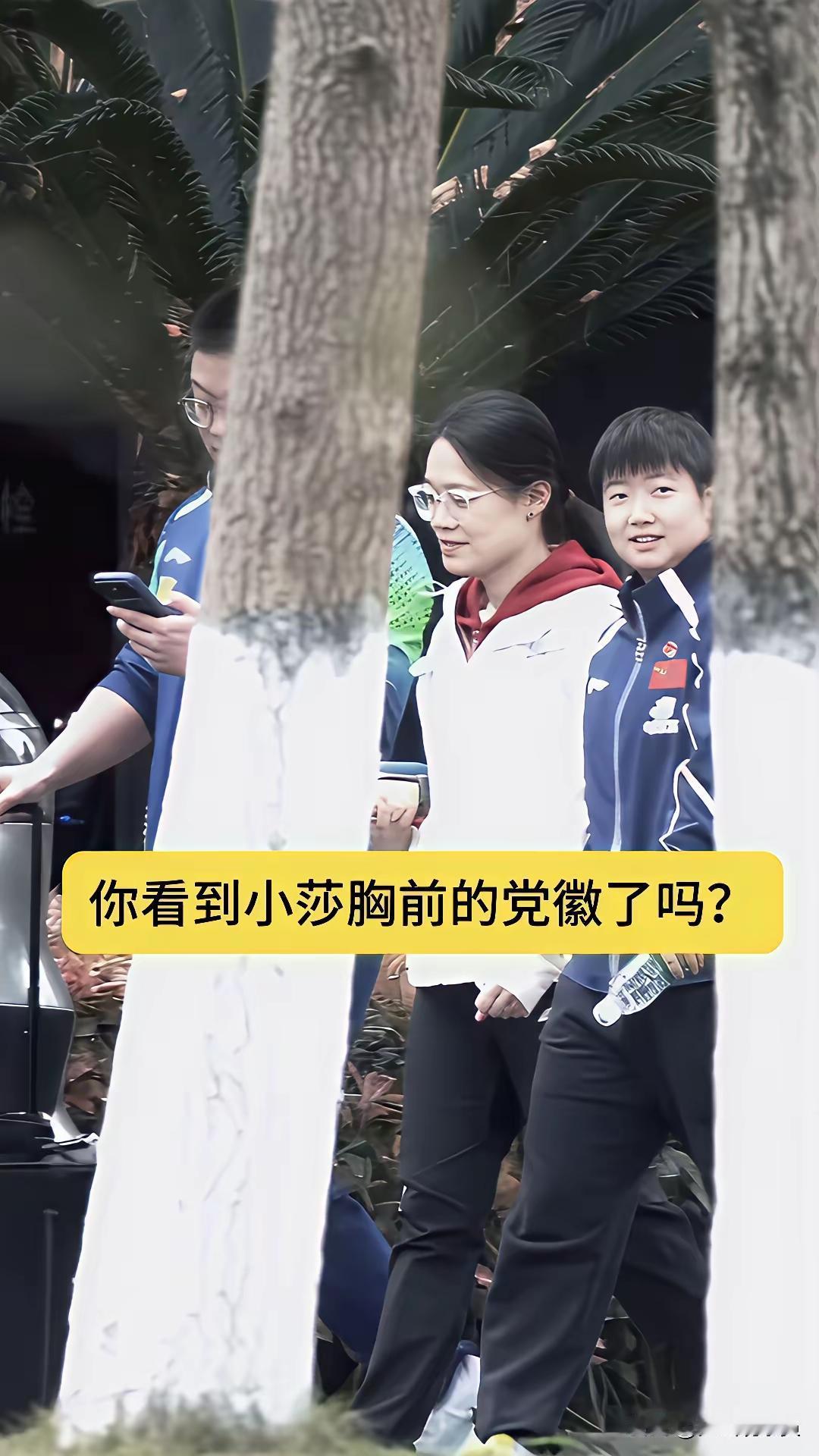 莎莎笑
天晴了
阳光照着莎宝宝
小太阳
自带光
咱的心里暖洋洋
拿冠军
升国旗