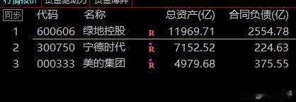 大A资产最高的三家民营企业：
1.绿地控股，总资产11969亿，合同负债2554