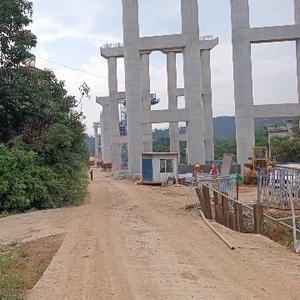 托尼刘