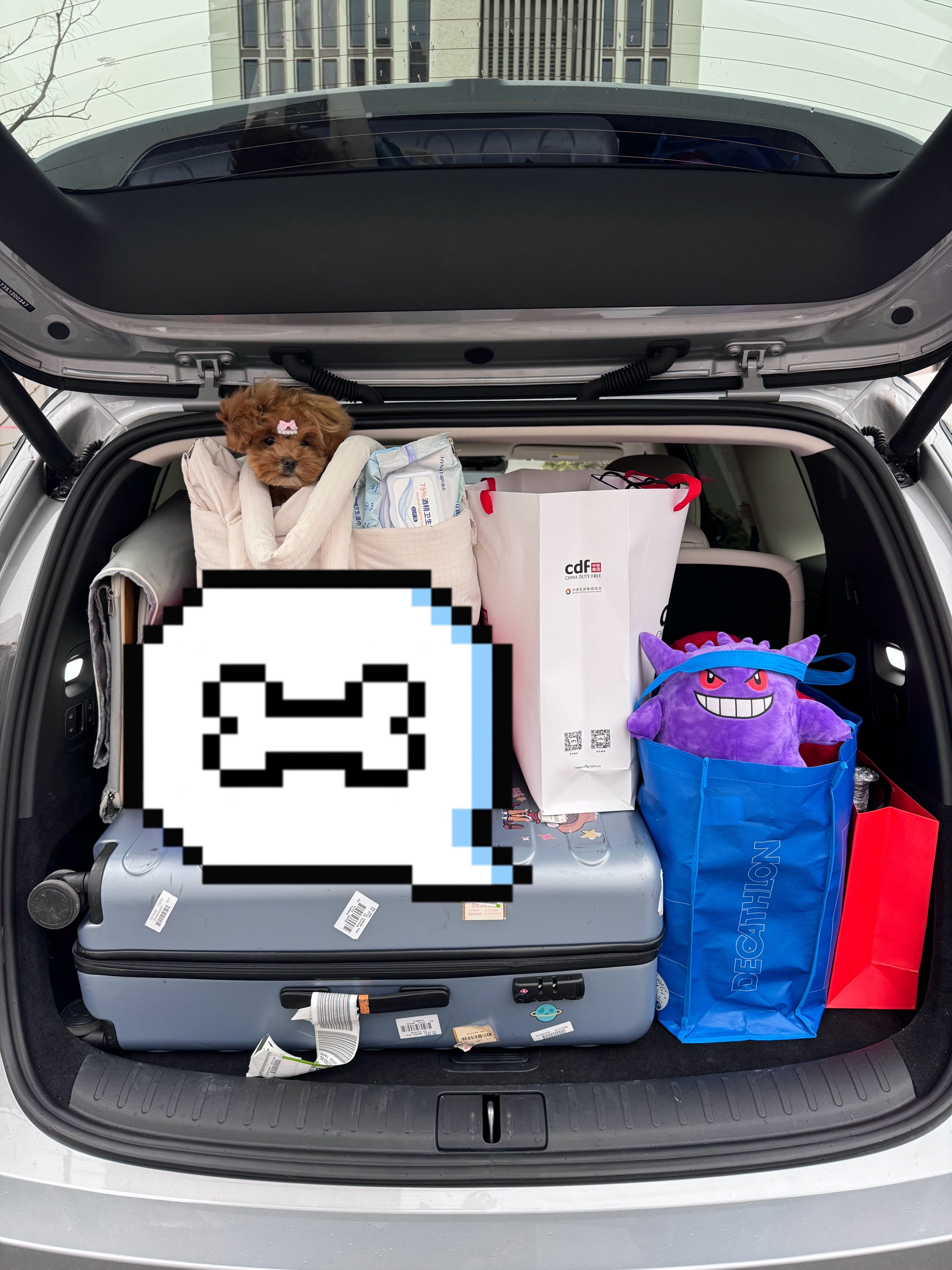 带着小苹果出远门去给姐姐过生日～这次开的是理想i8！作为一名老理想ONE车主，对