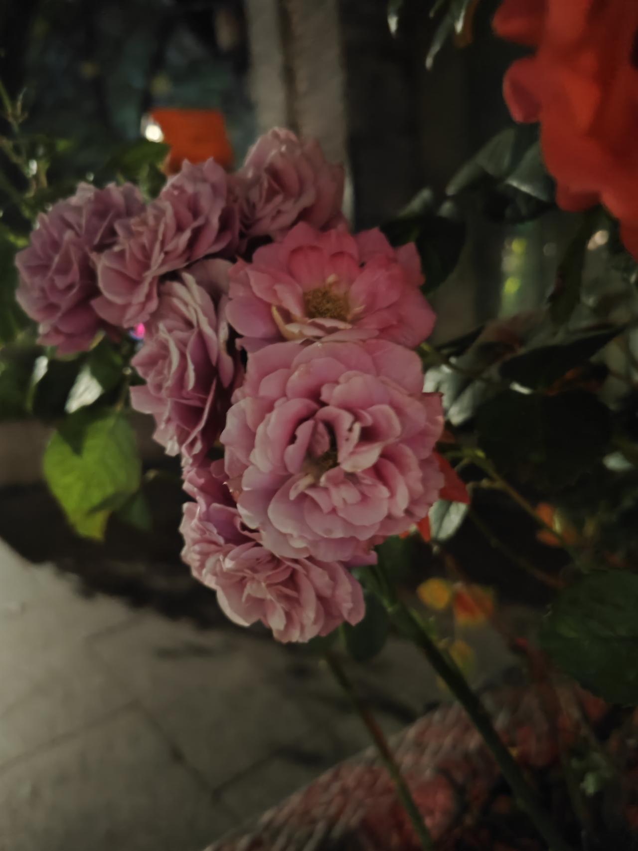 你以为吃饭是在填肚子？
错了——那碗白米饭，可能正在掏空你。

人跟人拉开差距的