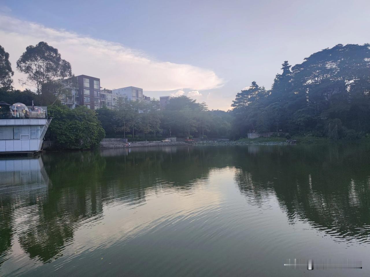 #记录我的2024# 我开始学习中医了，这是我生活中的一件值得纪念的事情。今天第