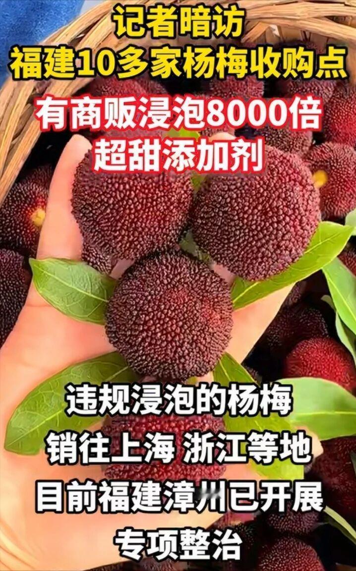 一觉睡醒天塌了！
我家孩子最爱吃的杨梅，居然是药泡出来的。
吓得我把冰箱里的杨梅