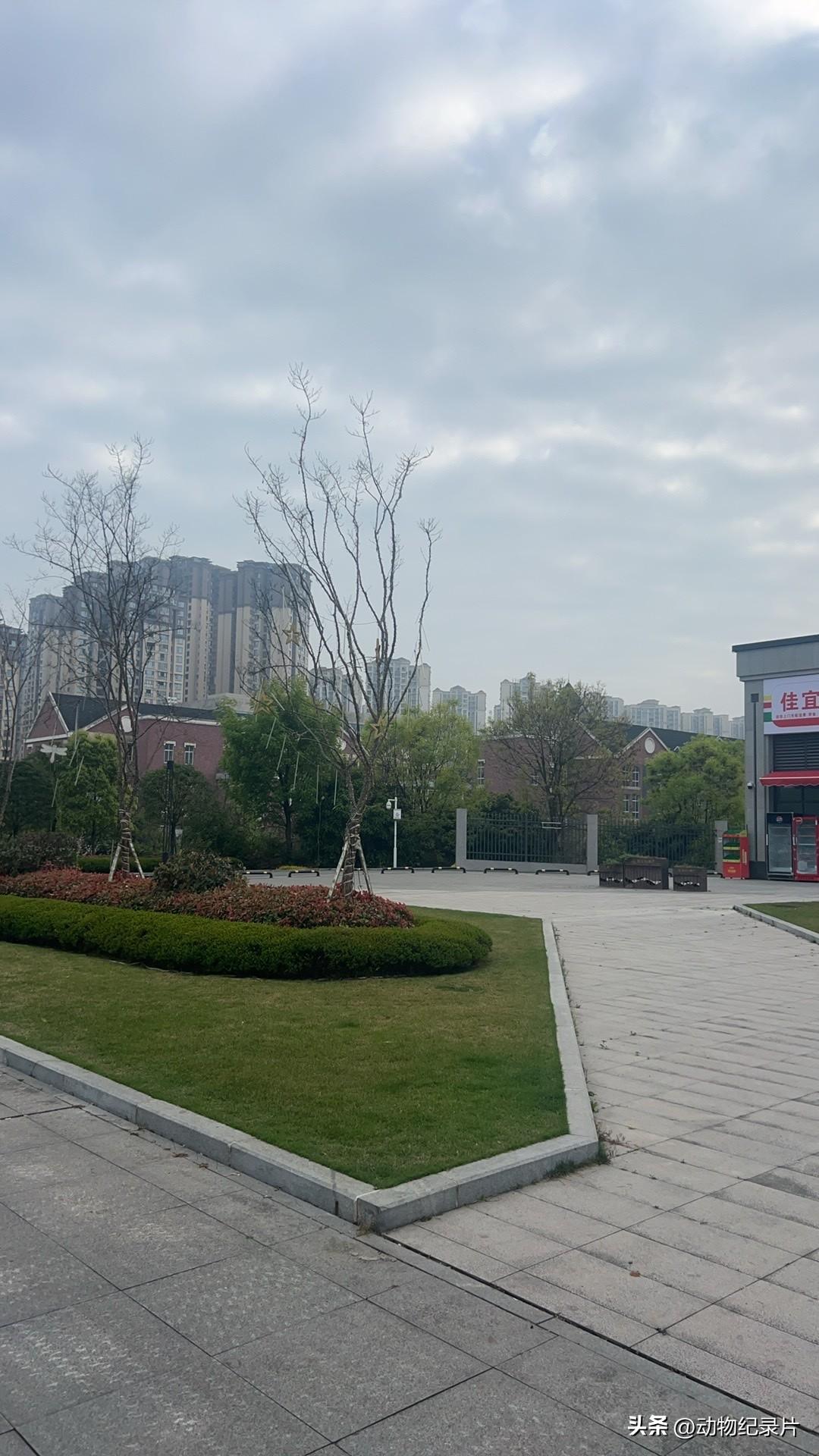 请用一句话概括一下，什么是幸福幸福，是疲惫时有人递来热茶，迷茫时有光照亮前路。