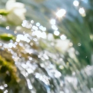 错过了晨曦，你可以欣赏暮霭；错过了春花，你可以接纳秋实；错过了太阳，你可以仰望星