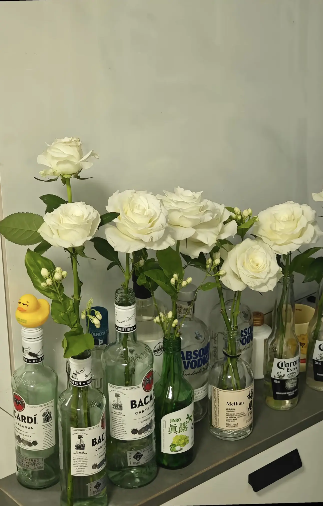 如果你也听梁博