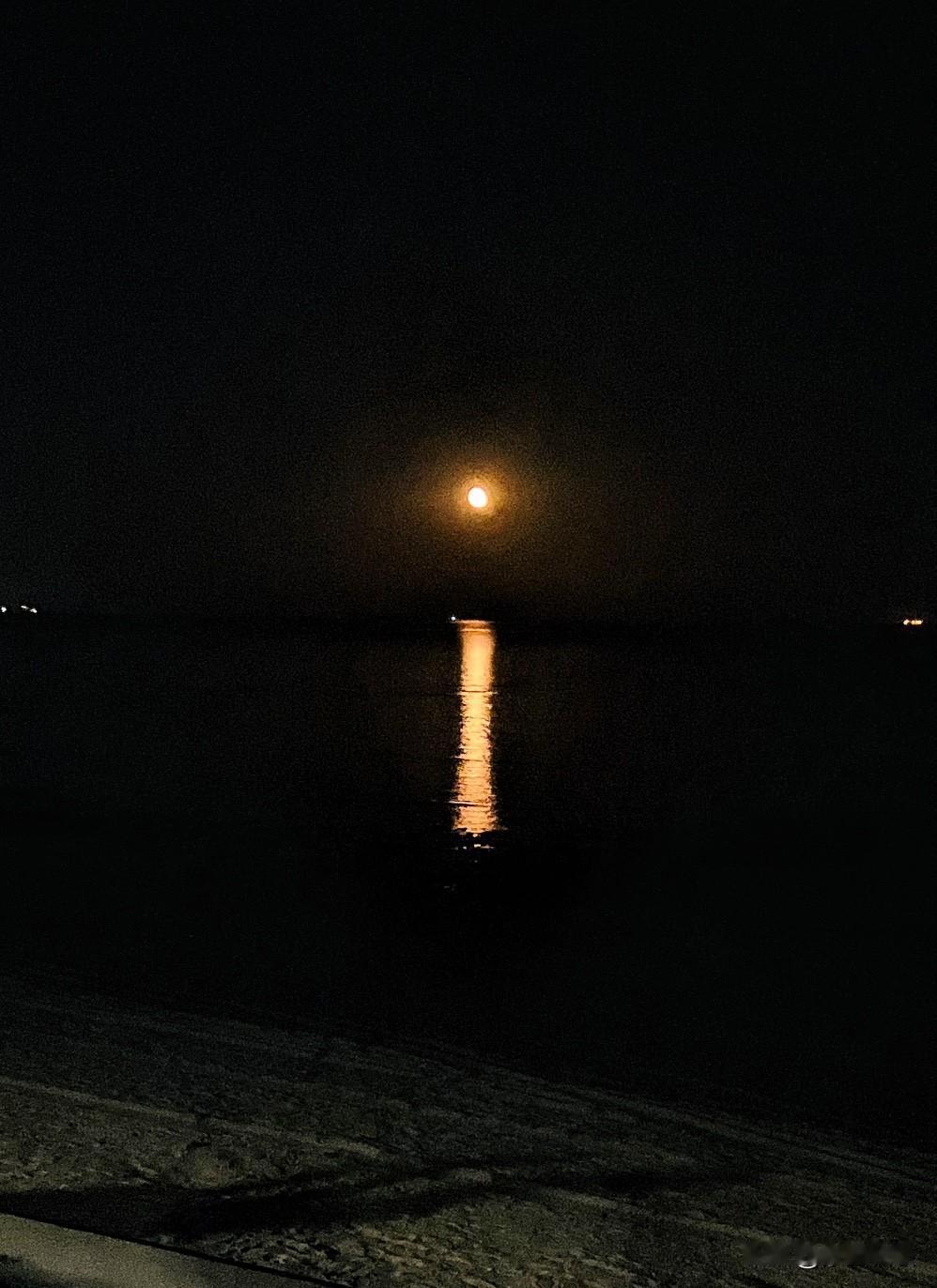 夕下低滩看晚月