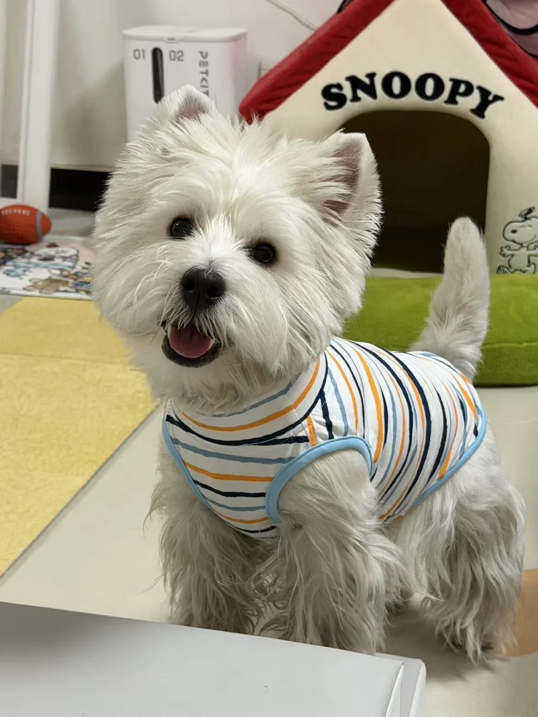 孩子长成这样还有什么烦恼吗